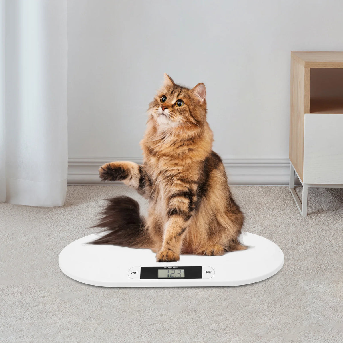 Digital Baby Precision Scale For Infant Toddler Weight Measurement