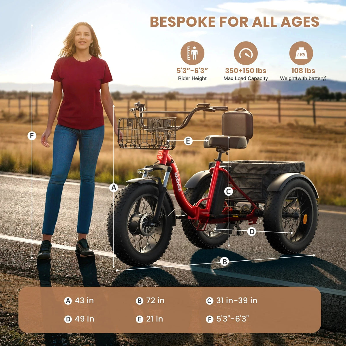 QRONGE 1200W Electric Tricycle With High Capacity 36V Battery
